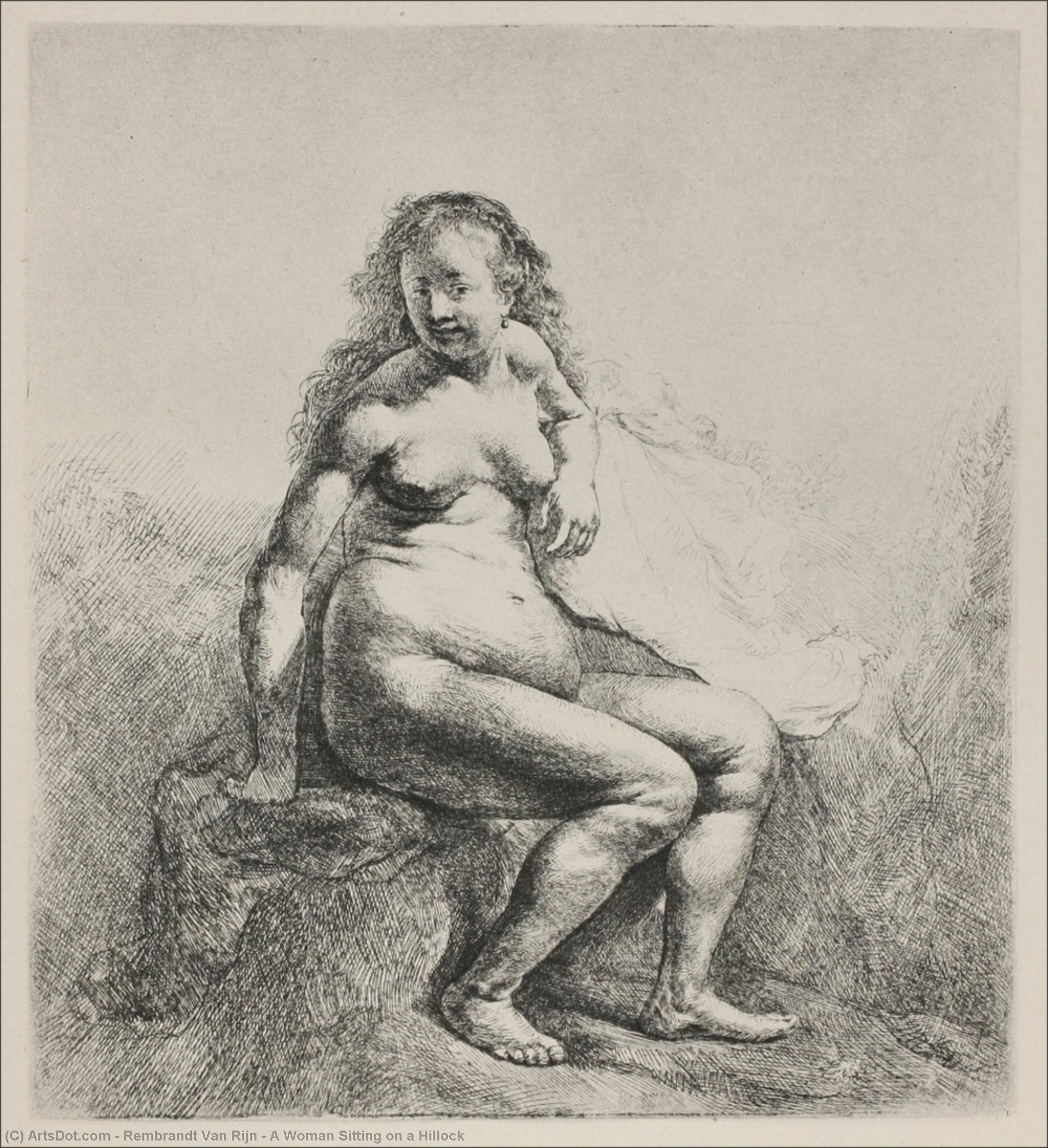Wikioo.org - สารานุกรมวิจิตรศิลป์ - จิตรกรรม Rembrandt Van Rijn - A Woman Sitting on a Hillock