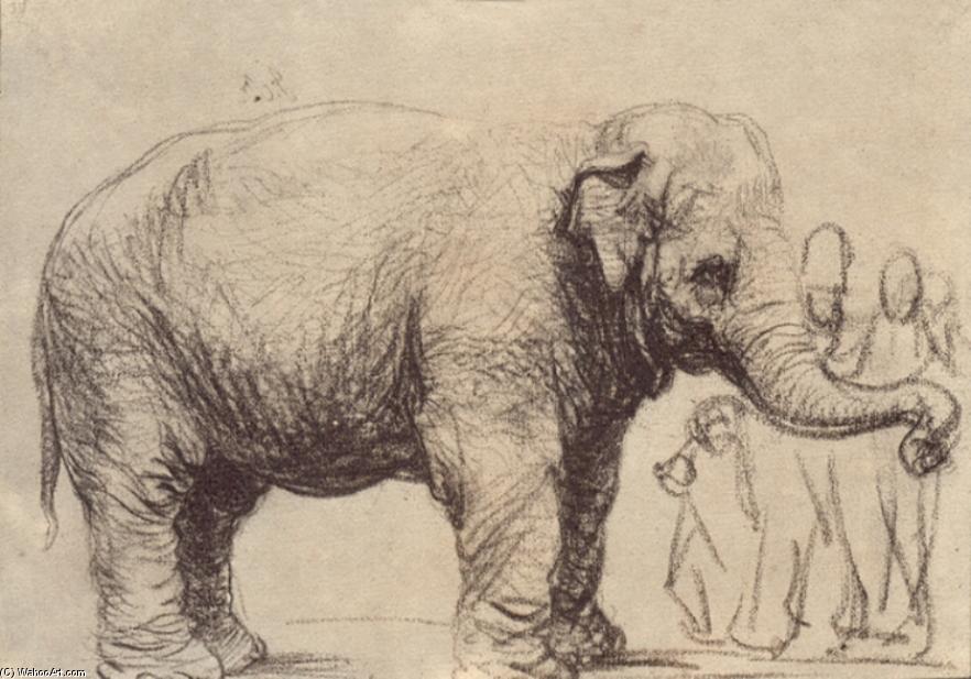 Wikioo.org - สารานุกรมวิจิตรศิลป์ - จิตรกรรม Rembrandt Van Rijn - An Elephant, in the Background a Group of Spectators