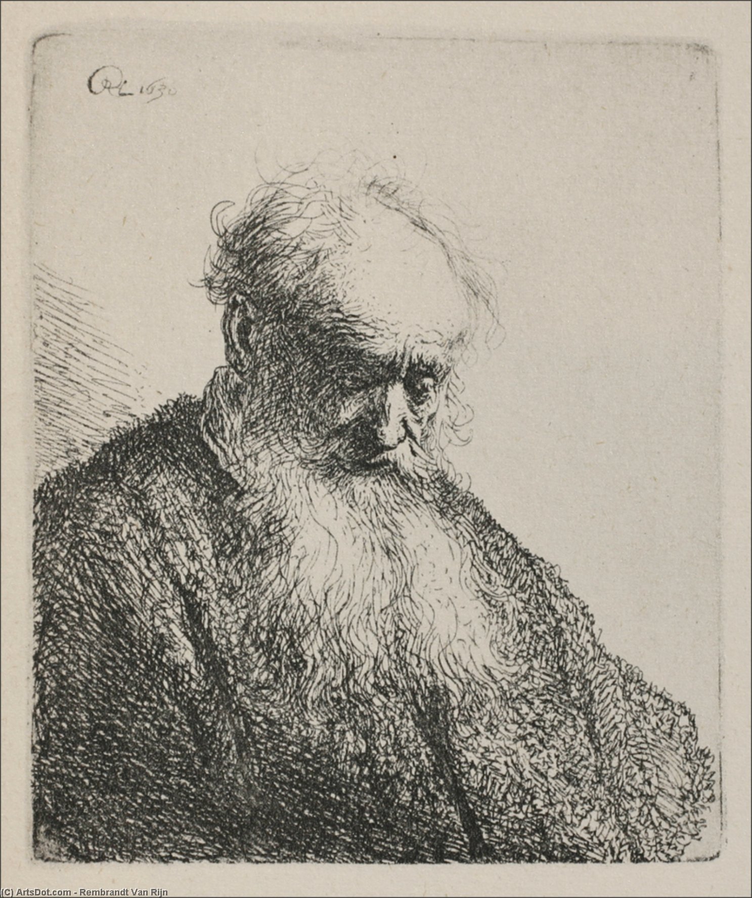 WikiOO.org - Encyclopedia of Fine Arts - Maalaus, taideteos Rembrandt Van Rijn - An Old Man with a Beard