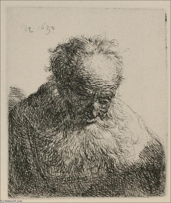 Wikioo.org - Encyklopedia Sztuk Pięknych - Malarstwo, Grafika Rembrandt Van Rijn - An Old Man with a Large Beard