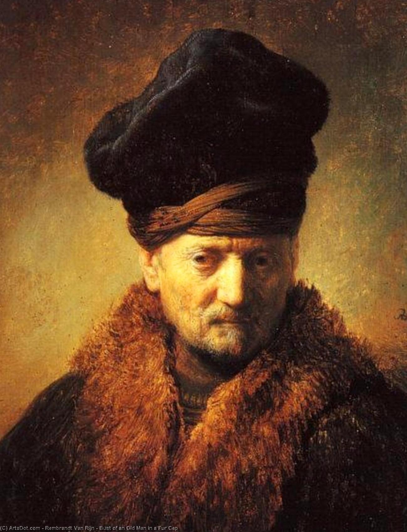 WikiOO.org - Enciclopédia das Belas Artes - Pintura, Arte por Rembrandt Van Rijn - Bust of an Old Man in a Fur Cap