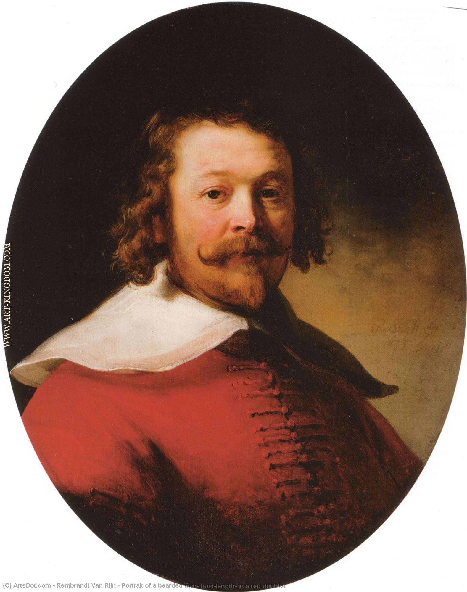 WikiOO.org – 美術百科全書 - 繪畫，作品 Rembrandt Van Rijn -  肖像 大胡子男人 , bust-length ,  在 红峰
