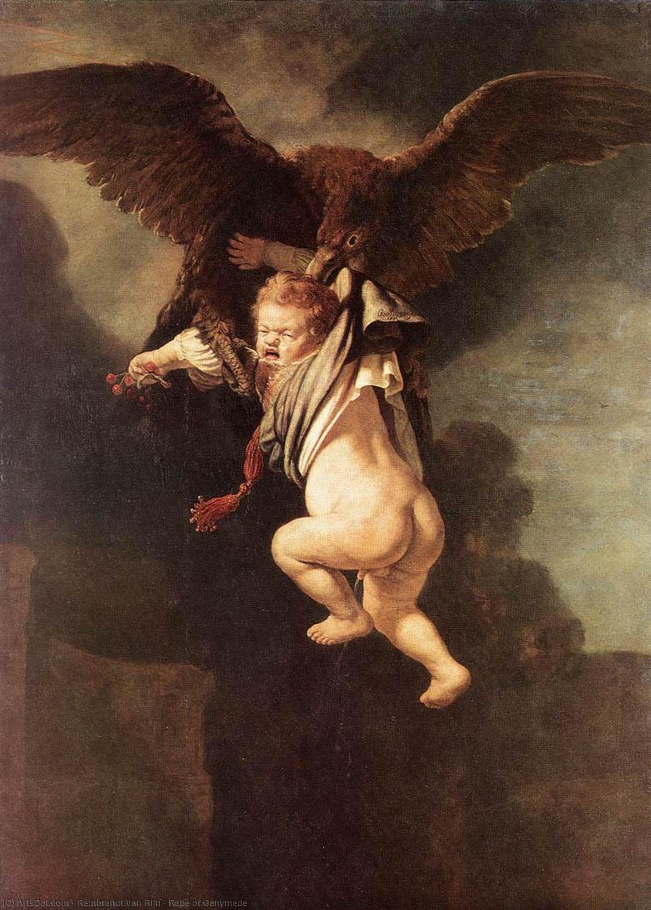 Wikioo.org – L'Enciclopedia delle Belle Arti - Pittura, Opere di Rembrandt Van Rijn - Ratto di Ganimede