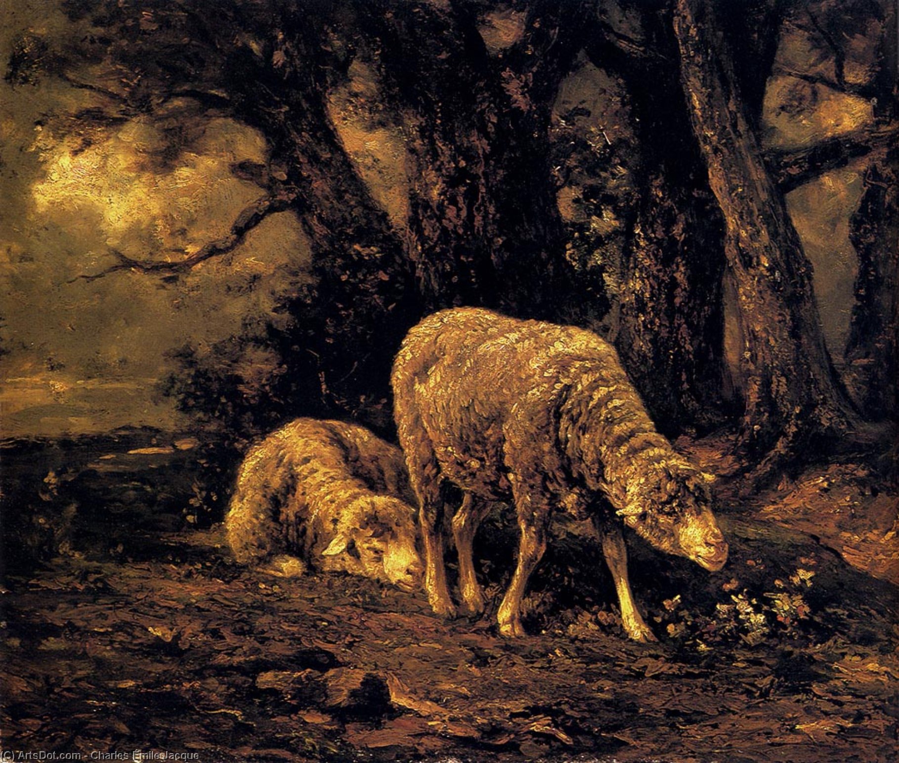 Wikioo.org – La Enciclopedia de las Bellas Artes - Pintura, Obras de arte de Charles Émile Jacque - ovejas en un bosque