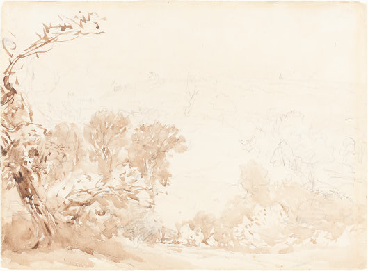 Wikioo.org - The Encyclopedia of Fine Arts - Painting, Artwork by David Cox - Hillside And Trees