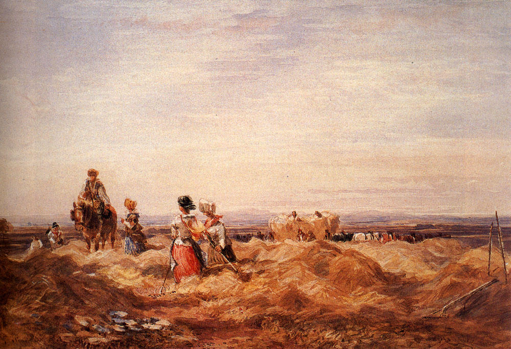 Wikioo.org - The Encyclopedia of Fine Arts - Painting, Artwork by David Cox - In The Hayfield