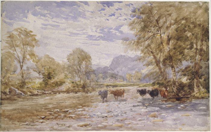Wikioo.org - The Encyclopedia of Fine Arts - Painting, Artwork by David Cox - Stepping Stones, Bettwys-Y-Coed