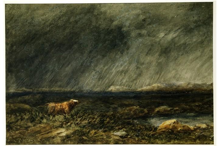 Wikioo.org - The Encyclopedia of Fine Arts - Painting, Artwork by David Cox - The Challenge. A Bull In A Storm On A Moor
