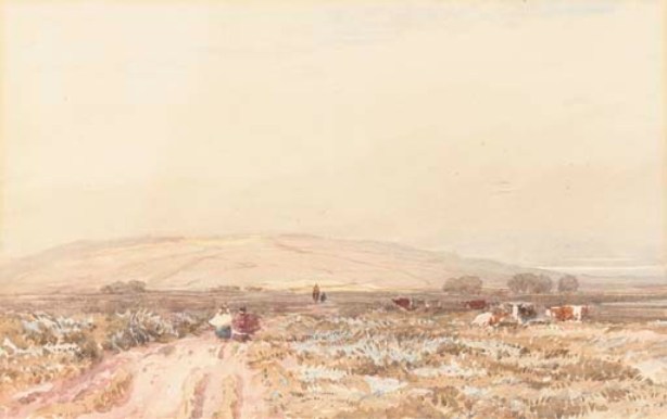 WikiOO.org - Güzel Sanatlar Ansiklopedisi - Resim, Resimler David Cox - Travellers On A Moorland Track