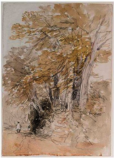 Wikioo.org - The Encyclopedia of Fine Arts - Painting, Artwork by David Cox - Tree-Lined Lane With Steep Banks
