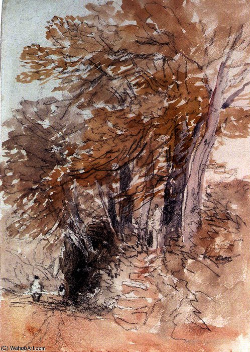 Wikioo.org - The Encyclopedia of Fine Arts - Painting, Artwork by David Cox - Tree­lined Lane With Steep Banks