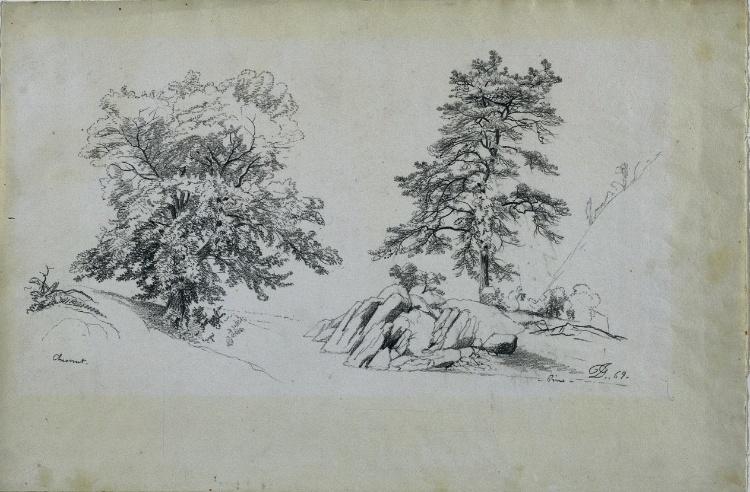 WikiOO.org - Enciklopedija likovnih umjetnosti - Slikarstvo, umjetnička djela David Johnson - Chestnut and Pine