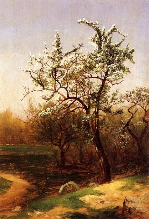 Wikioo.org - The Encyclopedia of Fine Arts - Painting, Artwork by David Johnson - Pear Blossoms