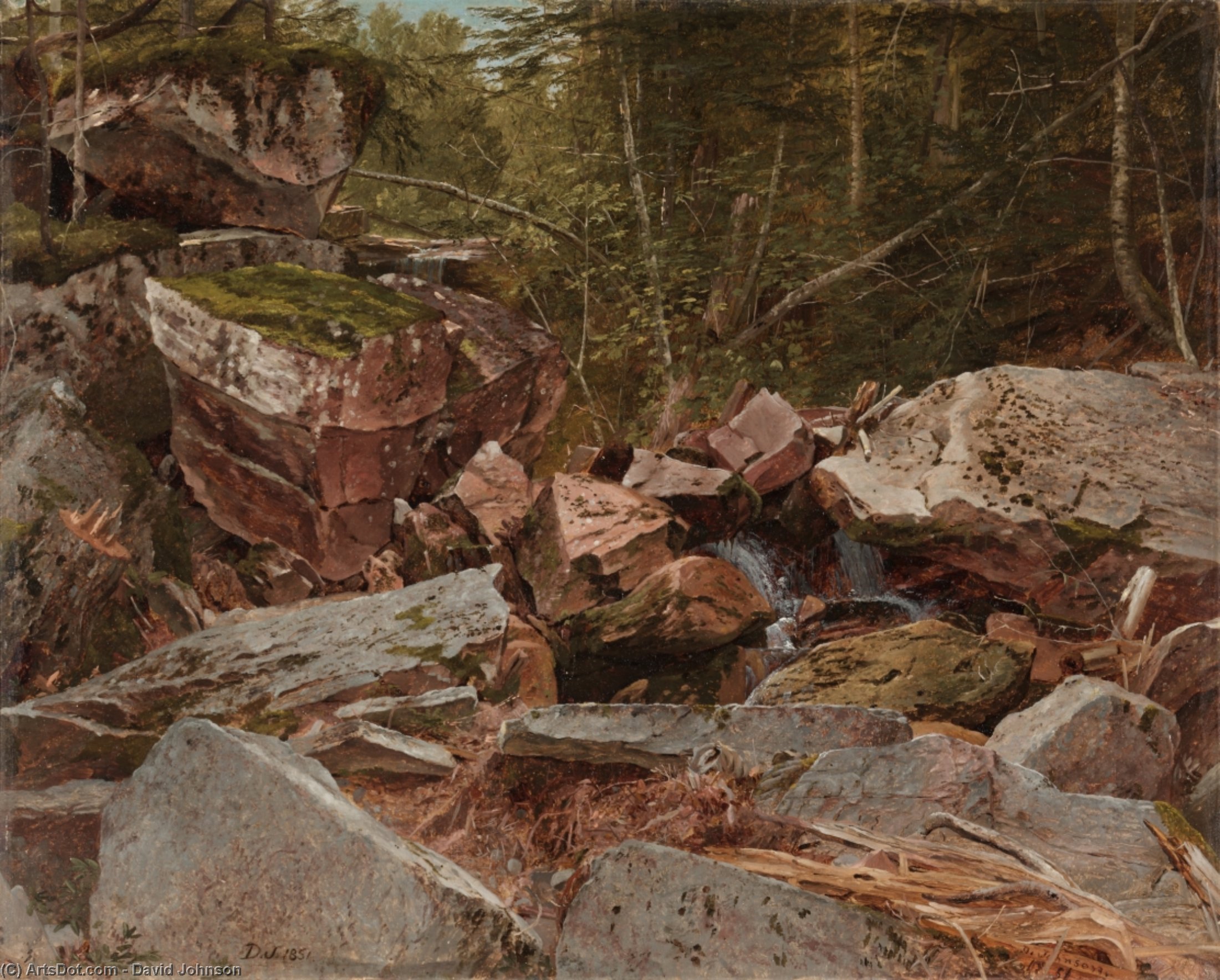 Wikioo.org - The Encyclopedia of Fine Arts - Painting, Artwork by David Johnson - Study, North Conway, New Hampshire