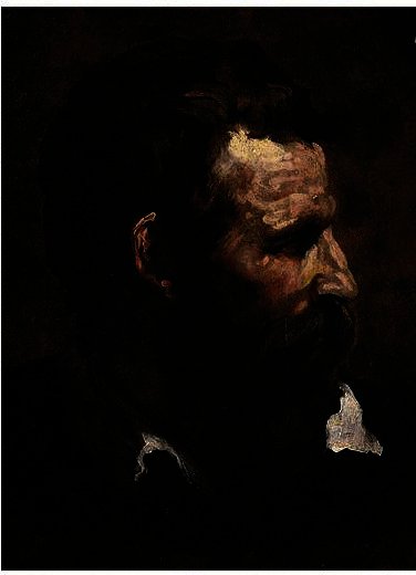 Wikioo.org - สารานุกรมวิจิตรศิลป์ - จิตรกรรม Domenico Di Pace Beccafumi - HEAD OF A BEARDED MAN IN PROFILE