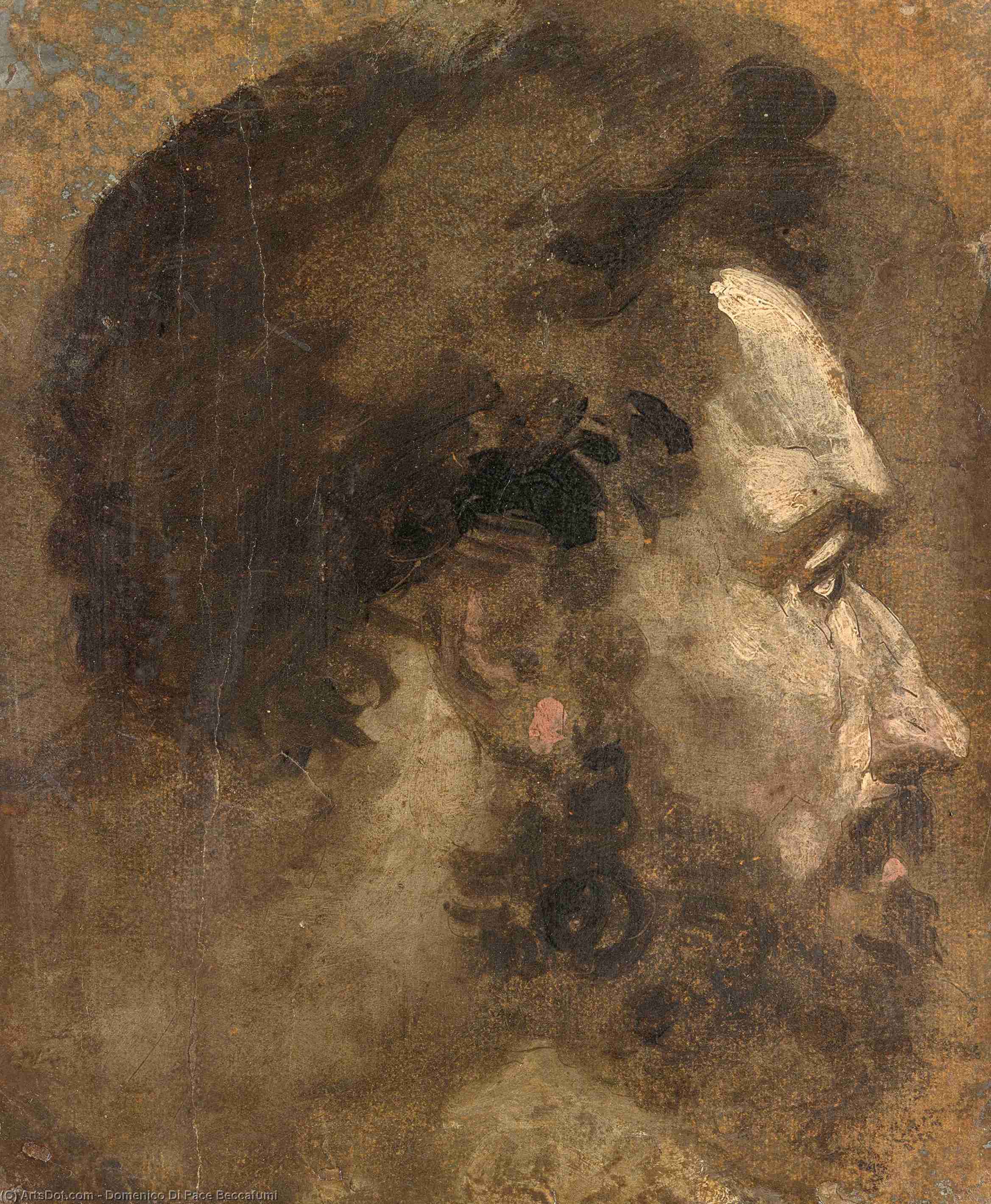 WikiOO.org - Encyclopedia of Fine Arts - Festés, Grafika Domenico Di Pace Beccafumi - Head of a Youth Seen in Profile
