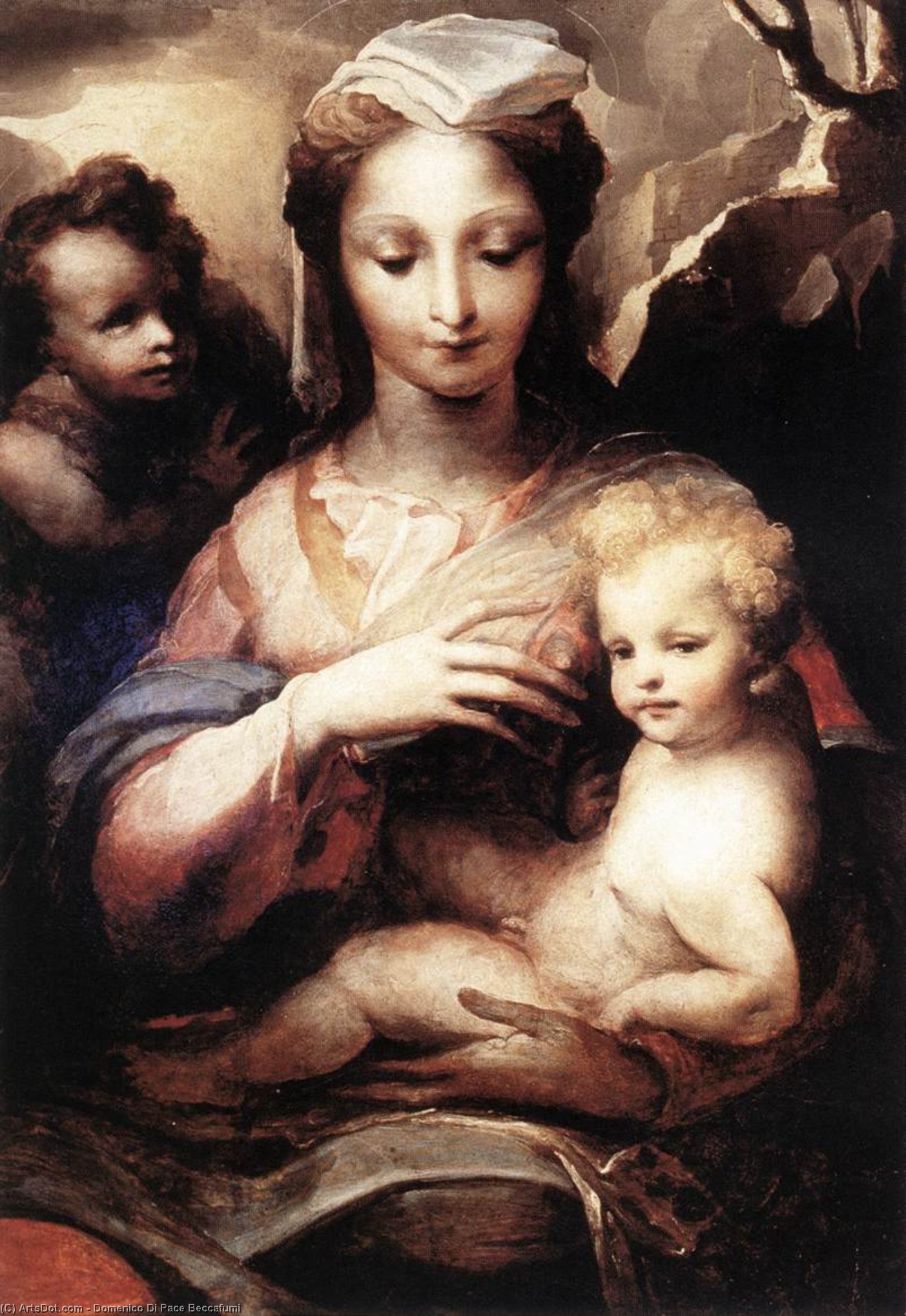Wikioo.org - The Encyclopedia of Fine Arts - Painting, Artwork by Domenico Di Pace Beccafumi - Madonna and Child with St. John
