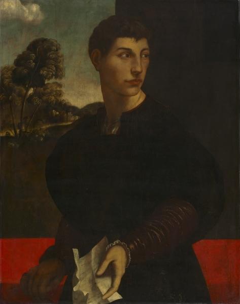 Wikioo.org – La Enciclopedia de las Bellas Artes - Pintura, Obras de arte de Dosso Dossi (Giovanni Di Niccolò De Luteri) - retrato de un jóven hombre