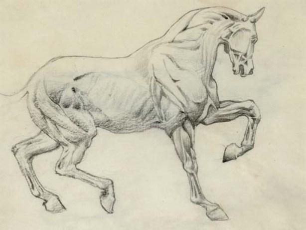 Wikioo.org – L'Enciclopedia delle Belle Arti - Pittura, Opere di Edward Coley Burne-Jones - Écorché figura  di  Un  cavallo