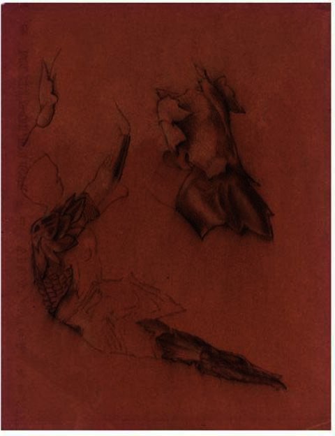 Wikoo.org - موسوعة الفنون الجميلة - اللوحة، العمل الفني Edward Coley Burne-Jones - Studies Of Armour For 'perseus And The Graiae'
