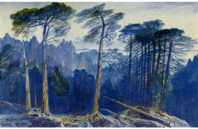 Wikioo.org – La Enciclopedia de las Bellas Artes - Pintura, Obras de arte de Edward Lear - El bosque de pinos de Bavella, Córcega