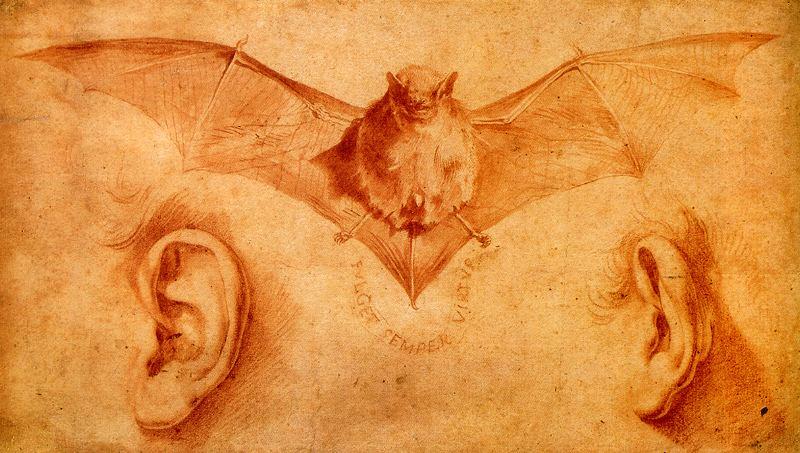 Wikioo.org - The Encyclopedia of Fine Arts - Painting, Artwork by Jusepe De Ribera (Lo Spagnoletto) - Study of bats and ears