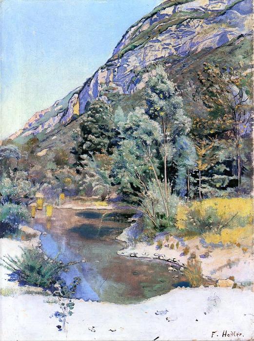 Wikioo.org - The Encyclopedia of Fine Arts - Painting, Artwork by Ferdinand Hodler - At the Foot of Mr. Saleve