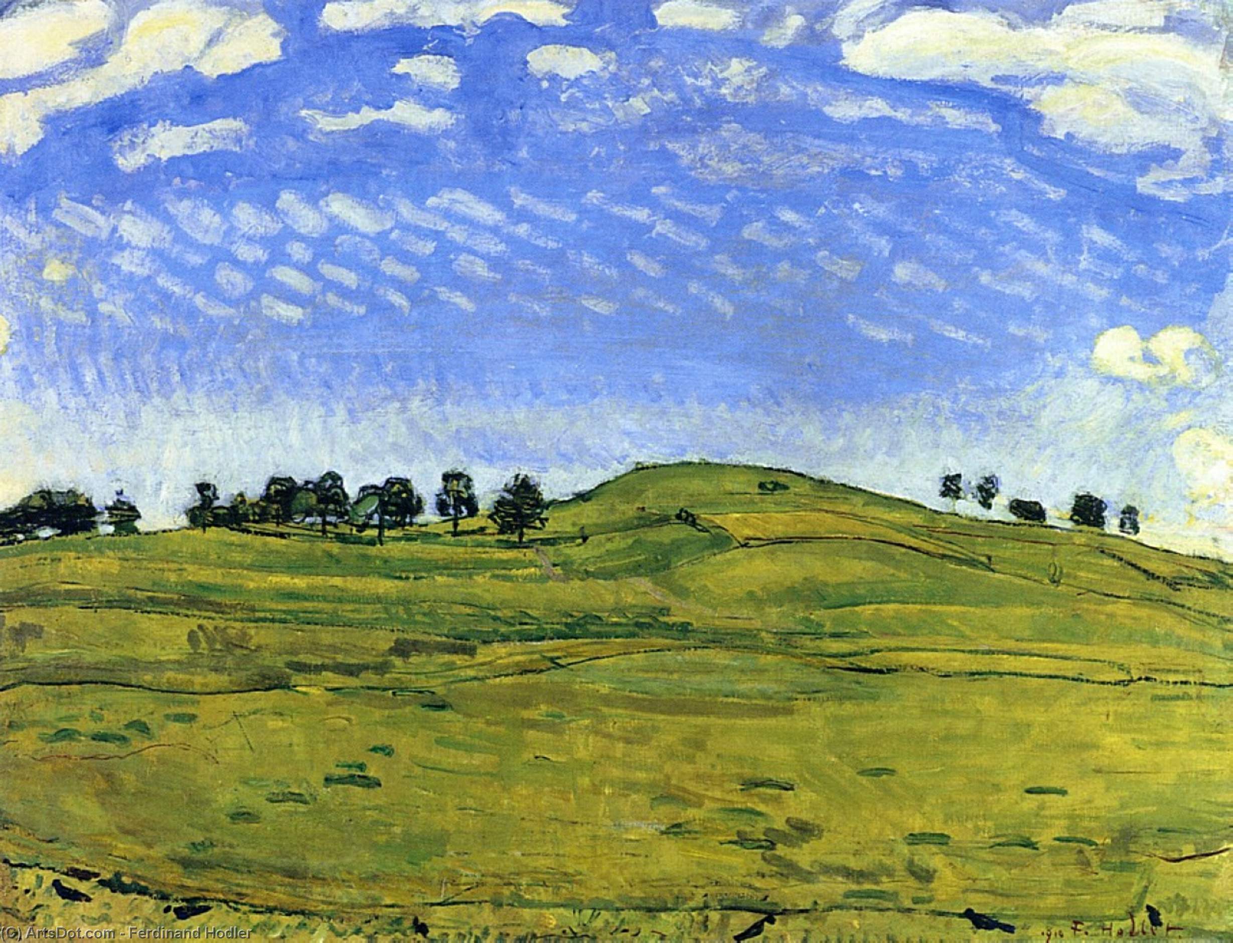 Wikioo.org - The Encyclopedia of Fine Arts - Painting, Artwork by Ferdinand Hodler - Hilly Landscape with Ravens, in the Bernese Oberland