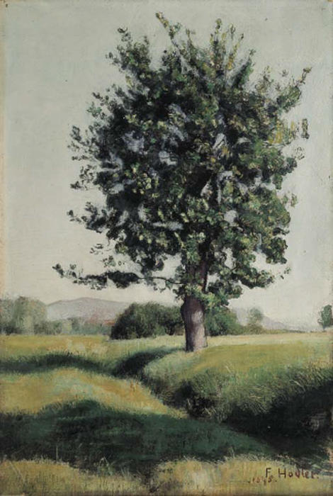 WikiOO.org - Enciklopedija likovnih umjetnosti - Slikarstvo, umjetnička djela Ferdinand Hodler - The tree