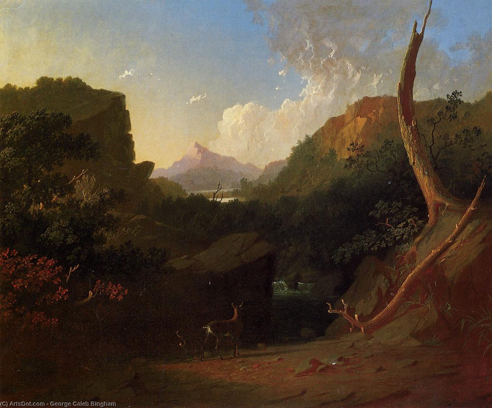 WikiOO.org - Enciclopédia das Belas Artes - Pintura, Arte por George Caleb Bingham - Deer in a Stormy Landscape