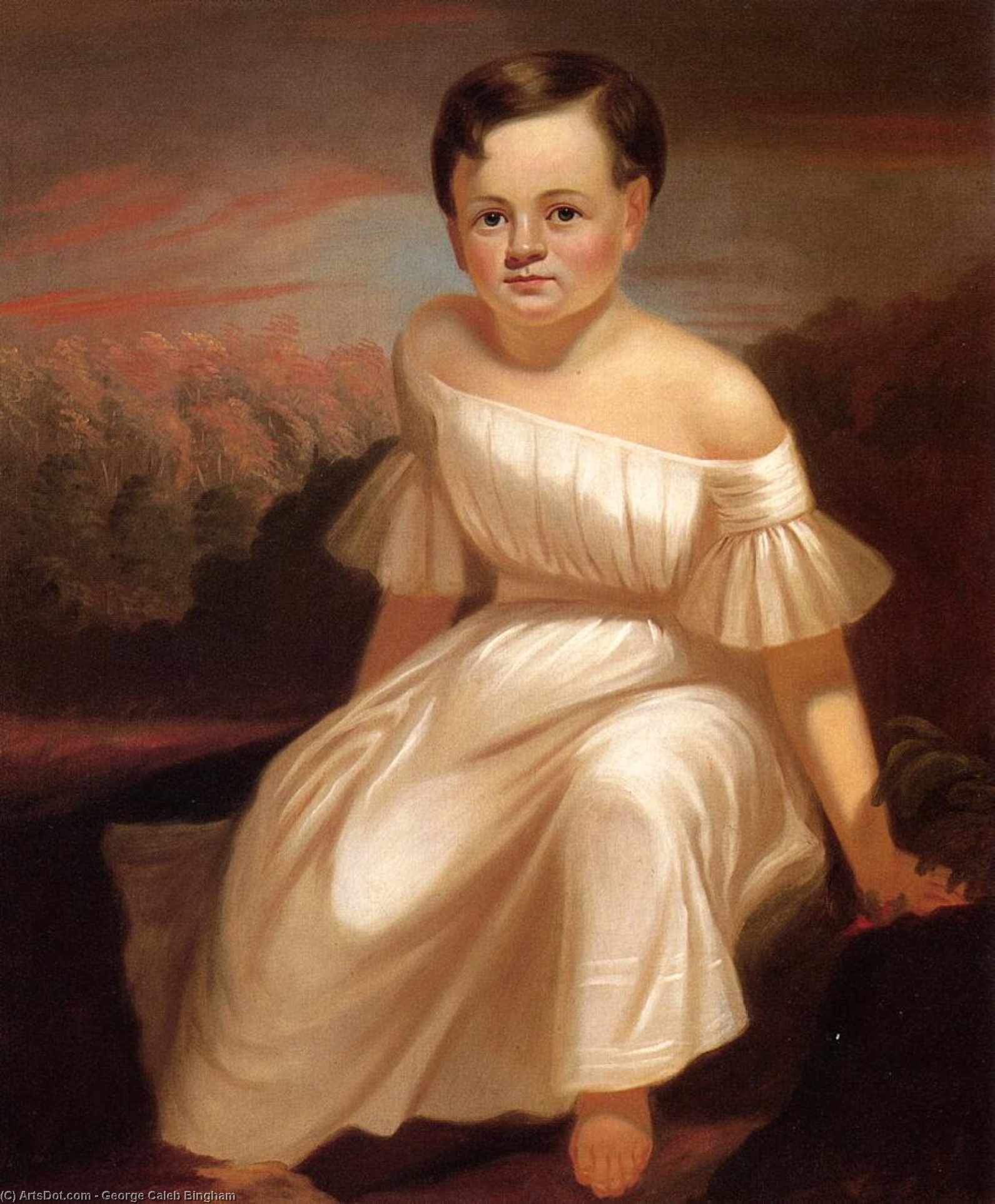 Wikioo.org - The Encyclopedia of Fine Arts - Painting, Artwork by George Caleb Bingham - Miss Sallie Ann Camden