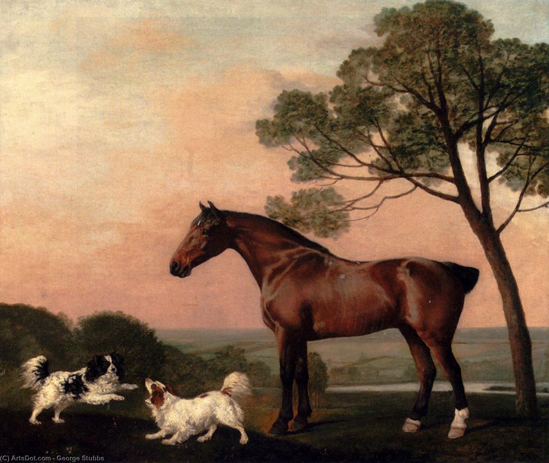 Wikioo.org - The Encyclopedia of Fine Arts - Painting, Artwork by George Stubbs - A Bay Hunter With Two Spaniels