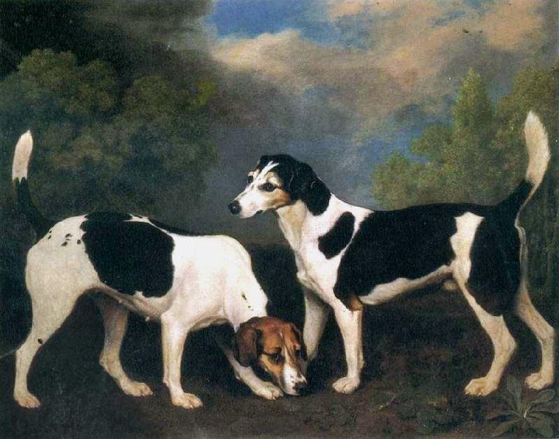 Wikioo.org - The Encyclopedia of Fine Arts - Painting, Artwork by George Stubbs - A Couple of Foxhounds