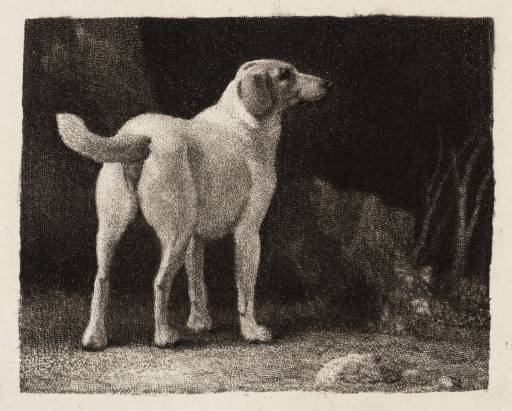 Wikioo.org - Encyklopedia Sztuk Pięknych - Malarstwo, Grafika George Stubbs - A Foxhound Viewed from Behind