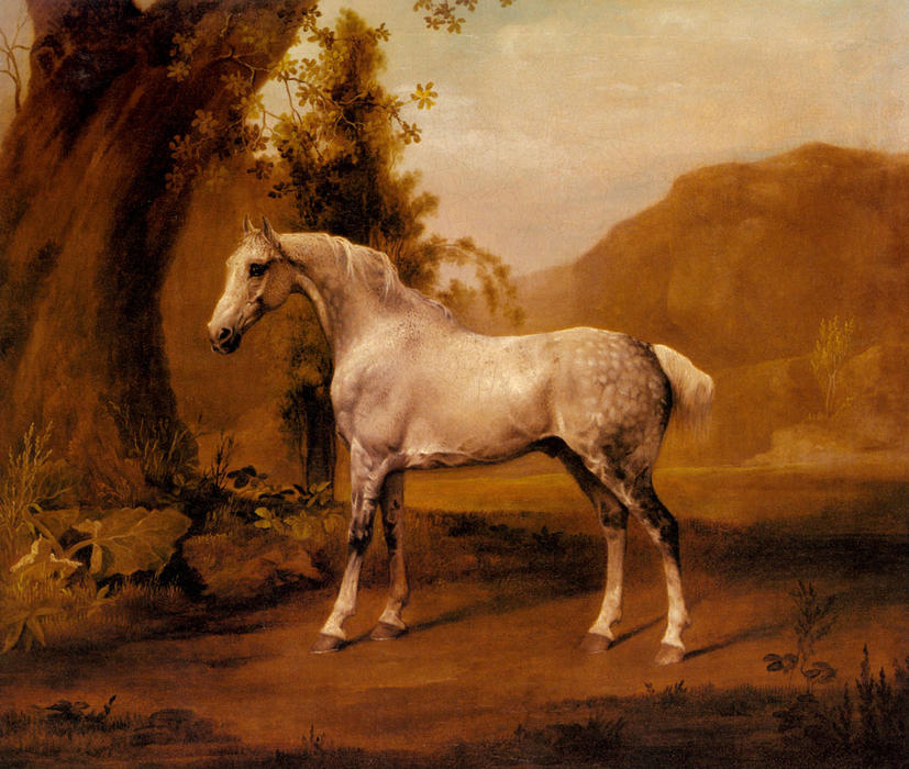 Wikioo.org - The Encyclopedia of Fine Arts - Painting, Artwork by George Stubbs - A Grey Stallion In A Landscape