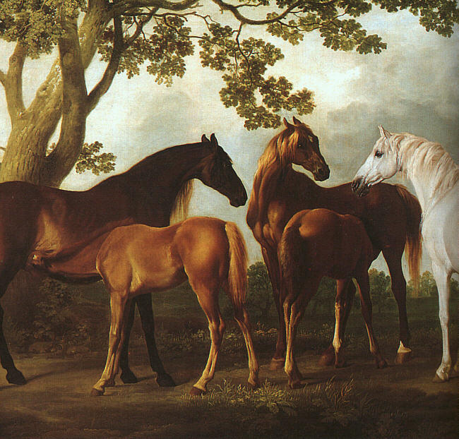 Wikoo.org - موسوعة الفنون الجميلة - اللوحة، العمل الفني George Stubbs - Mares and Foals in a Landscape