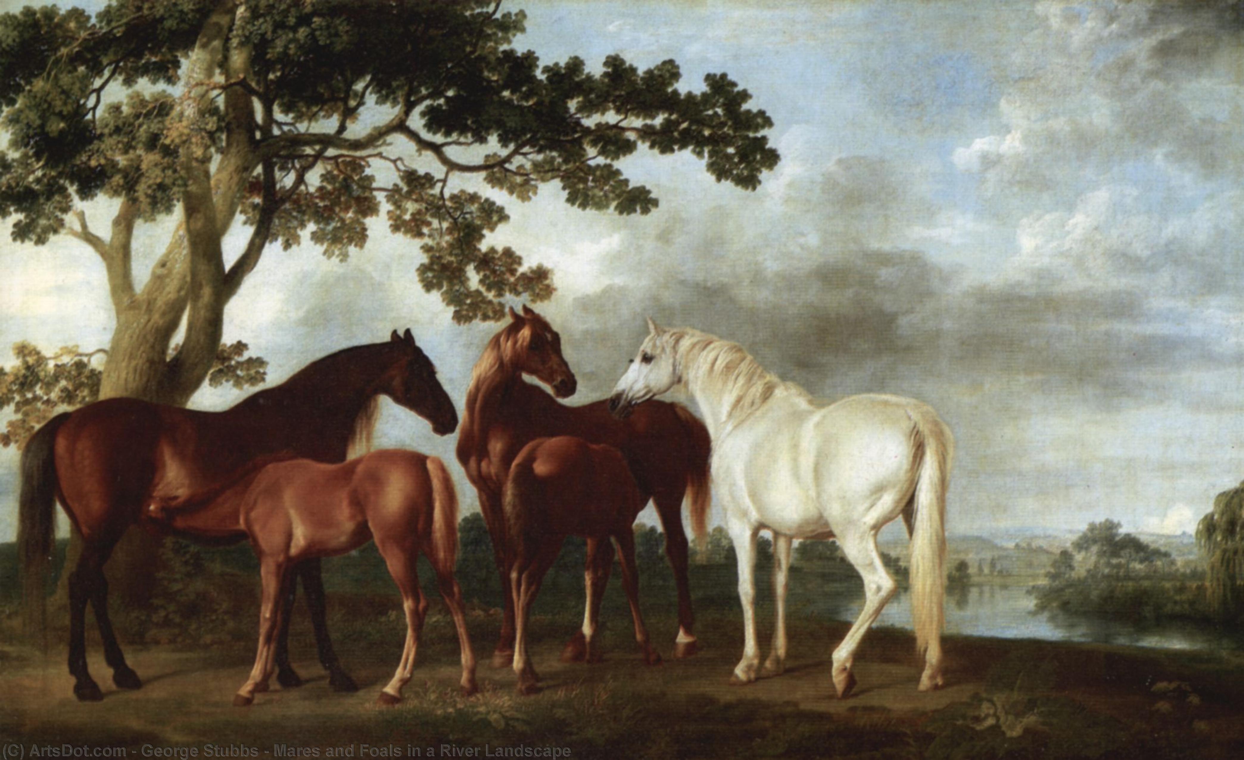 Wikoo.org - موسوعة الفنون الجميلة - اللوحة، العمل الفني George Stubbs - Mares and Foals in a River Landscape