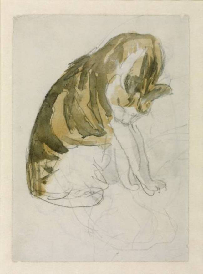 WikiOO.org - Enciklopedija likovnih umjetnosti - Slikarstvo, umjetnička djela Gwen John - Cat 1