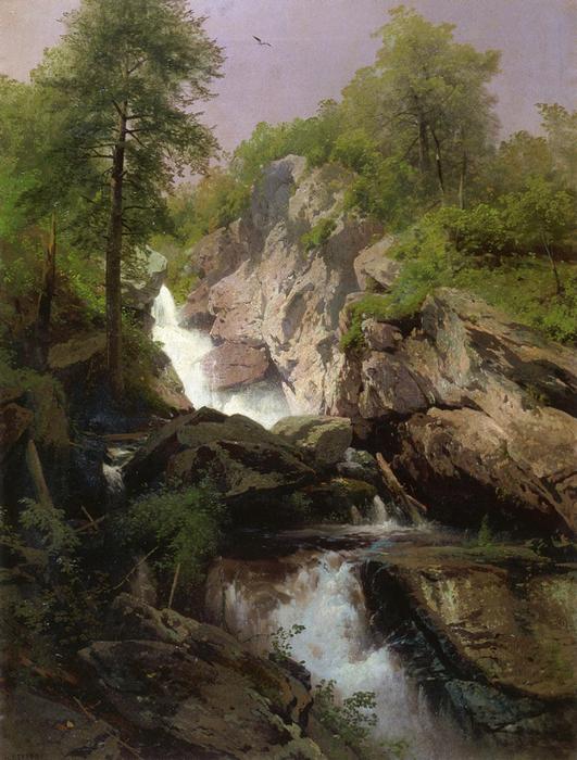 Wikioo.org - The Encyclopedia of Fine Arts - Painting, Artwork by Herman Herzog - Waterfall
