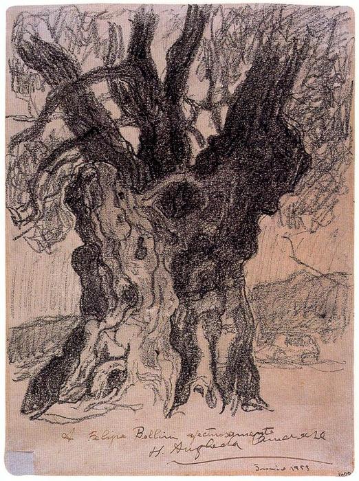 Wikioo.org – La Enciclopedia de las Bellas Artes - Pintura, Obras de arte de Hermen Anglada Camarasa - aceituna-árbol