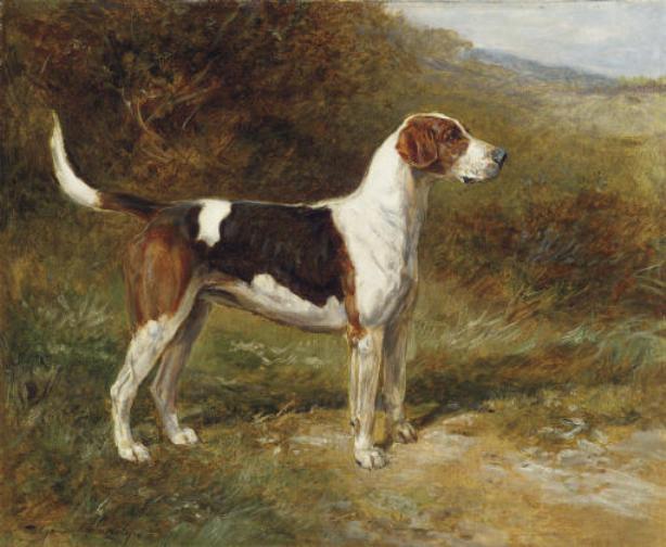 Wikioo.org - The Encyclopedia of Fine Arts - Painting, Artwork by Heywood Hardy - Sunshine, a Foxhound of the Quorn