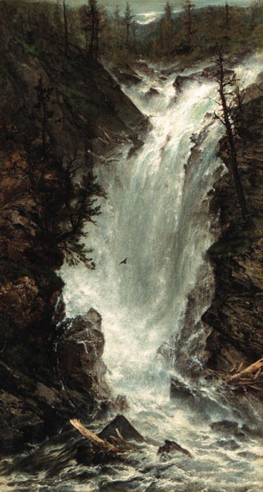 WikiOO.org - دایره المعارف هنرهای زیبا - نقاشی، آثار هنری Homer Dodge Martin - The Waterfall