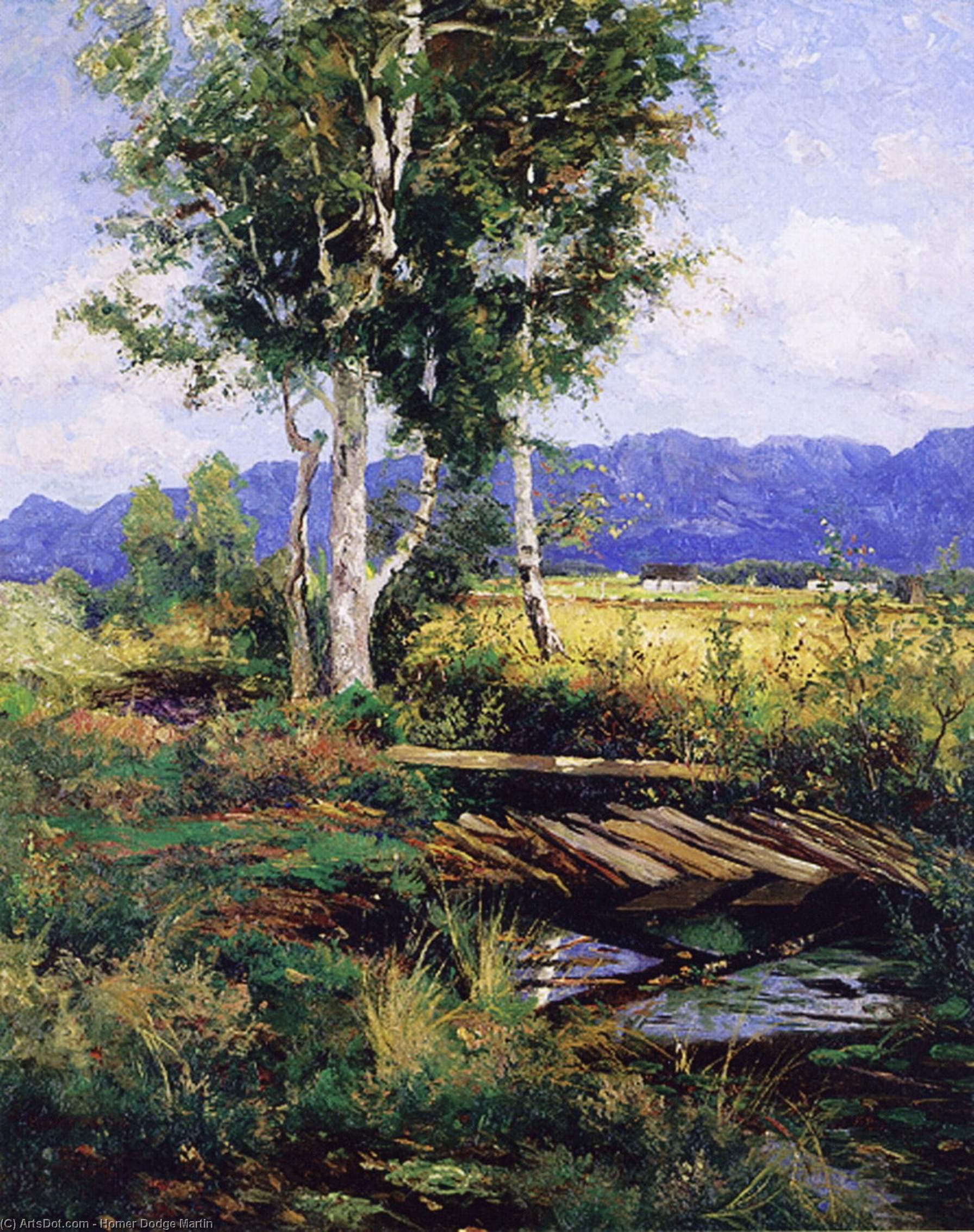 Wikioo.org - The Encyclopedia of Fine Arts - Painting, Artwork by Homer Dodge Martin - Toward the Adirondacks