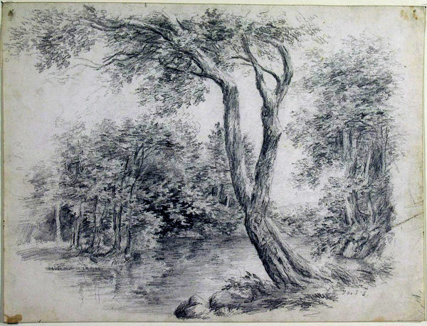 WikiOO.org - دایره المعارف هنرهای زیبا - نقاشی، آثار هنری Homer Dodge Martin - Trees and Pool