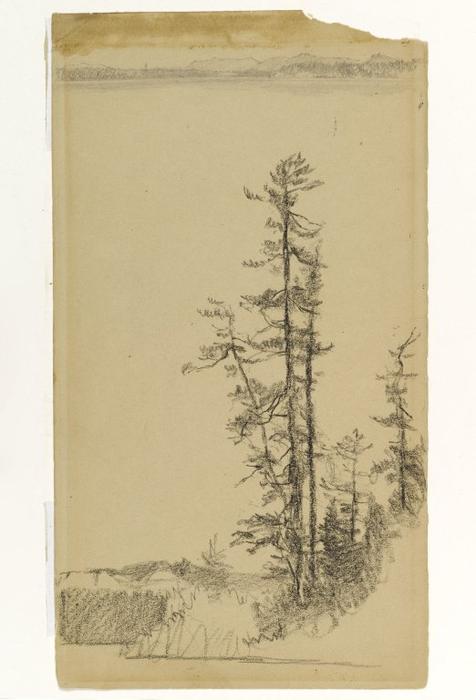 WikiOO.org - دایره المعارف هنرهای زیبا - نقاشی، آثار هنری Homer Dodge Martin - Trees
