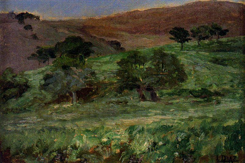 Wikioo.org - The Encyclopedia of Fine Arts - Painting, Artwork by Ignacio Díaz Olano - Landscape 1