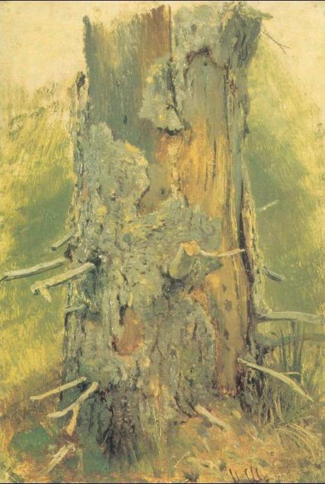 WikiOO.org - Enciclopedia of Fine Arts - Pictura, lucrări de artă Ivan Ivanovich Shishkin - Bark on dry up tree (etude)
