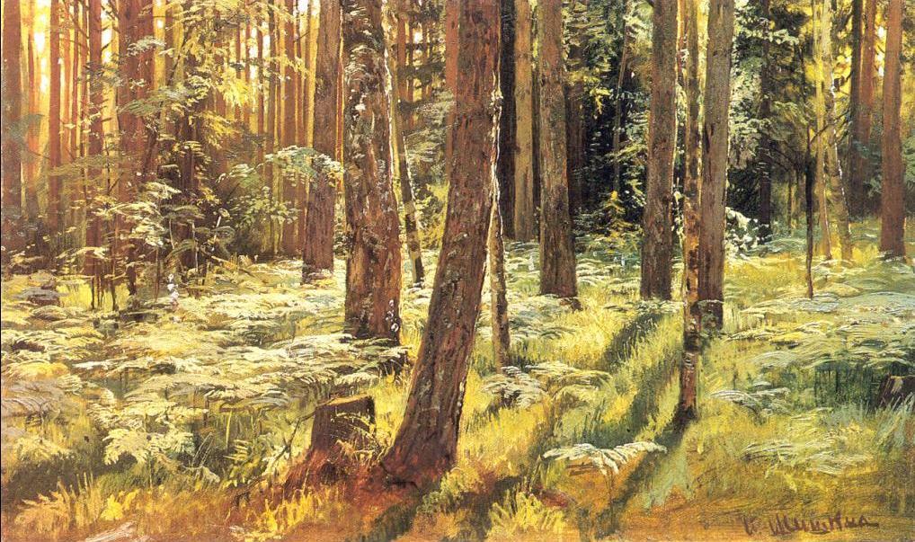 Wikioo.org – La Enciclopedia de las Bellas Artes - Pintura, Obras de arte de Ivan Ivanovich Shishkin - ferms` en un bosque