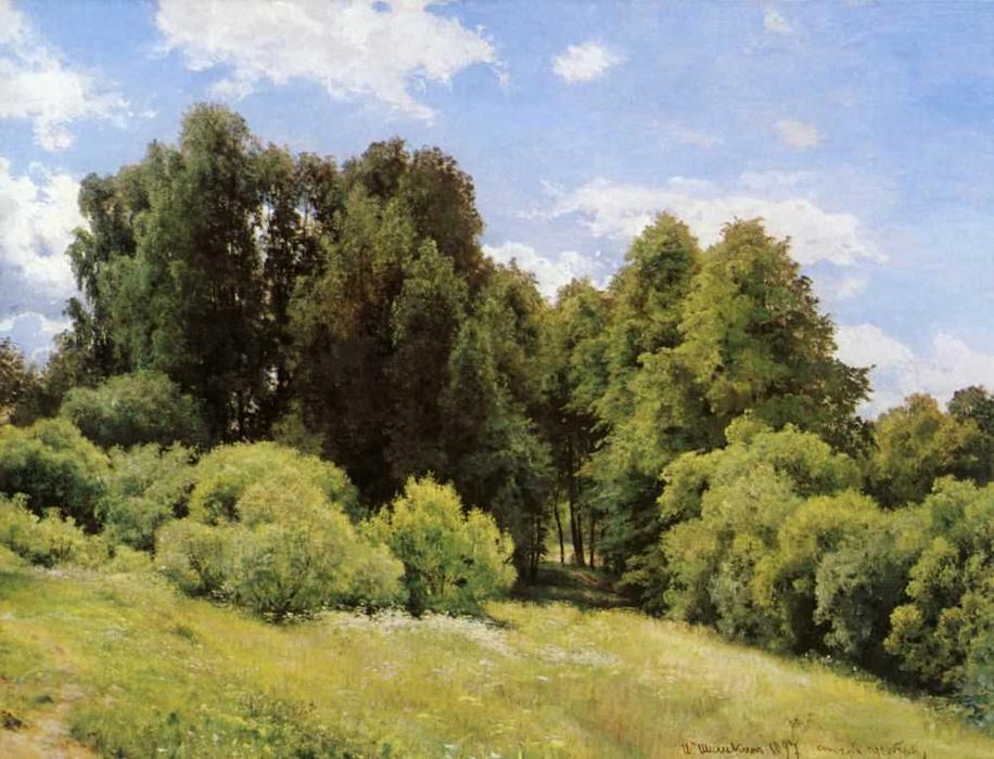 Wikioo.org - The Encyclopedia of Fine Arts - Painting, Artwork by Ivan Ivanovich Shishkin - Forest glade