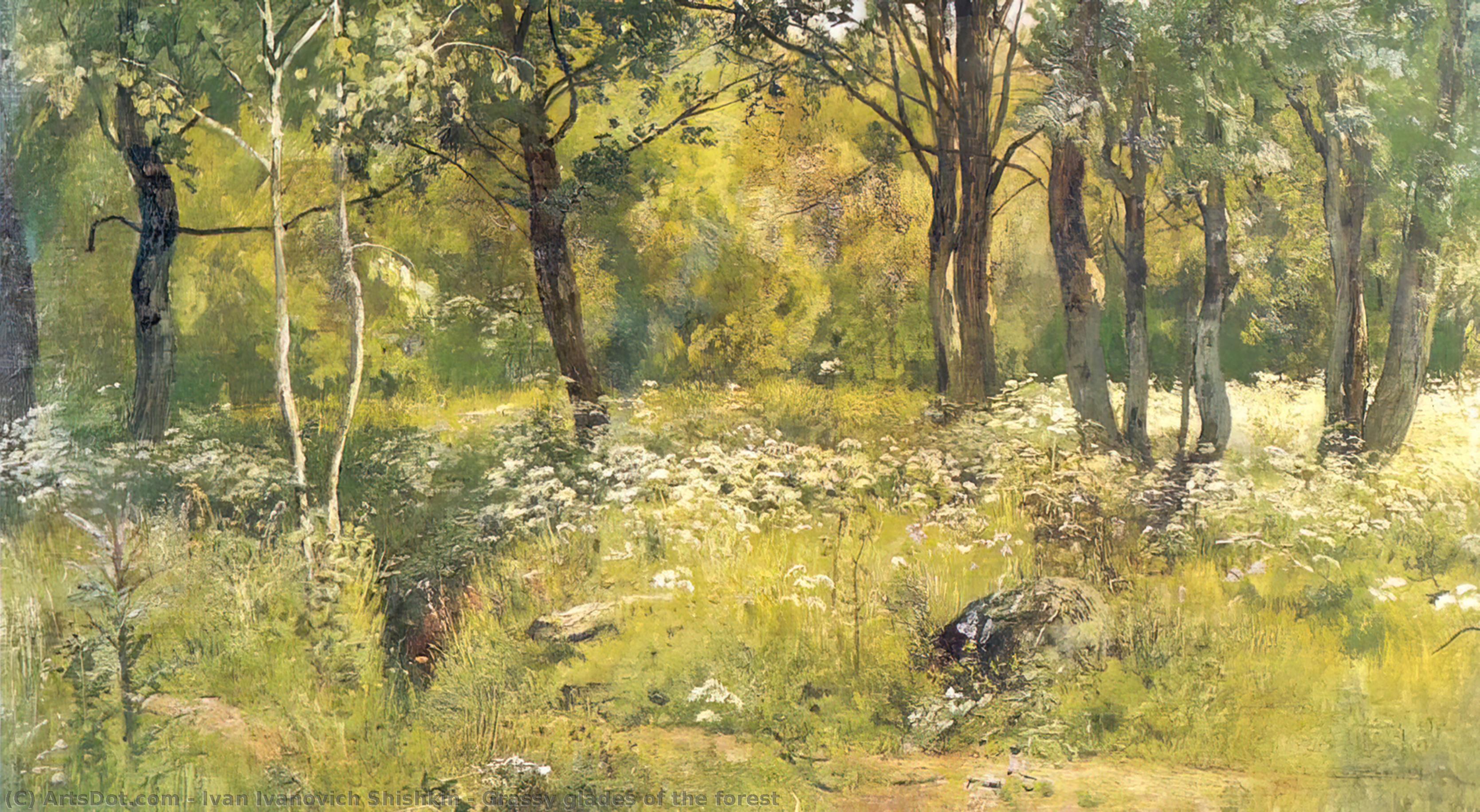 WikiOO.org - Encyclopedia of Fine Arts - Schilderen, Artwork Ivan Ivanovich Shishkin - Grassy glades of the forest